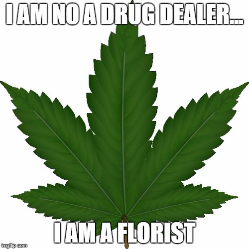 weed | I AM NO A DRUG DEALER... I AM A FLORIST | image tagged in weed | made w/ Imgflip meme maker