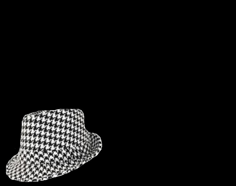 Houndstooth alabama roll tide crimson tide bear bryant Blank Meme Template