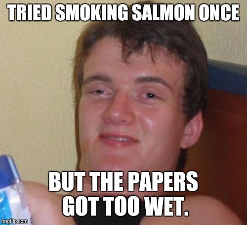 10 Guy Meme | TRIED SMOKING SALMON ONCE BUT THE PAPERS GOT TOO WET. | image tagged in memes,10 guy | made w/ Imgflip meme maker