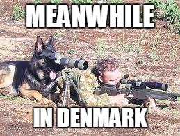 MEANWHILE IN DENMARK | made w/ Imgflip meme maker