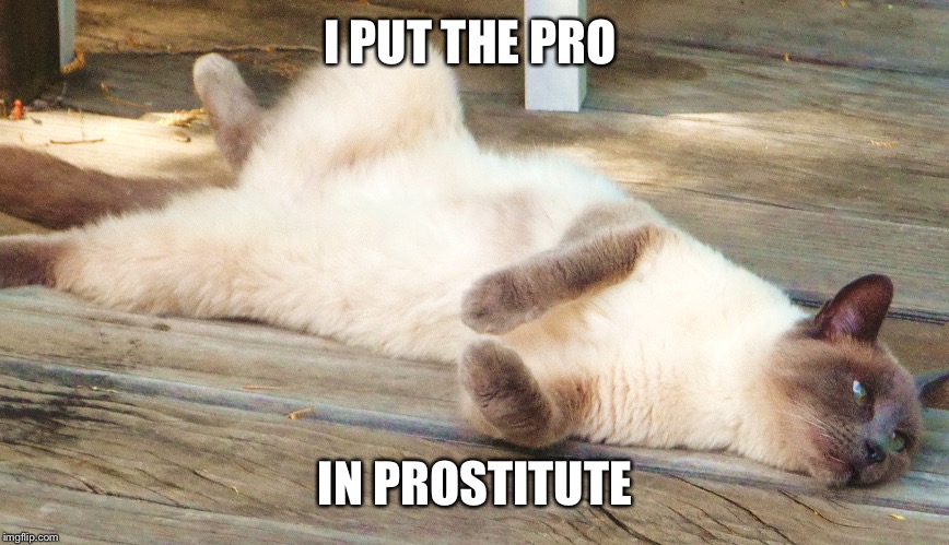 I PUT THE PRO IN PROSTITUTE | made w/ Imgflip meme maker