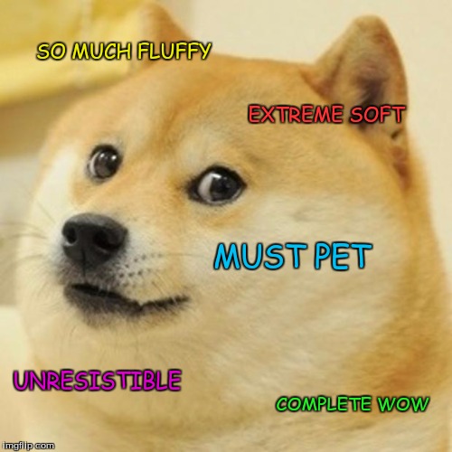 Doge Meme | SO MUCH FLUFFY EXTREME SOFT MUST PET UNRESISTIBLE COMPLETE WOW | image tagged in memes,doge | made w/ Imgflip meme maker