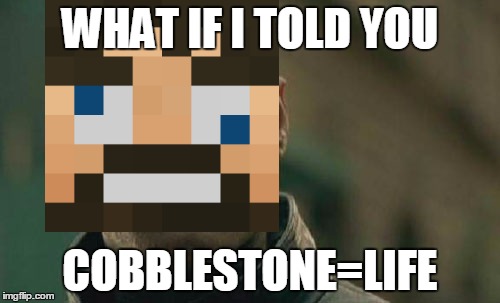 matrix ssundee | WHAT IF I TOLD YOU COBBLESTONE=LIFE | image tagged in ssundee | made w/ Imgflip meme maker