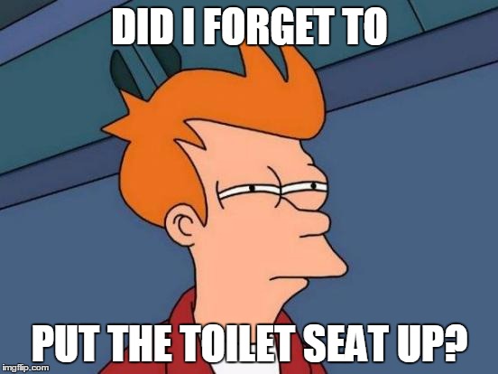 Futurama Fry | DID I FORGET TO PUT THE TOILET SEAT UP? | image tagged in memes,futurama fry | made w/ Imgflip meme maker