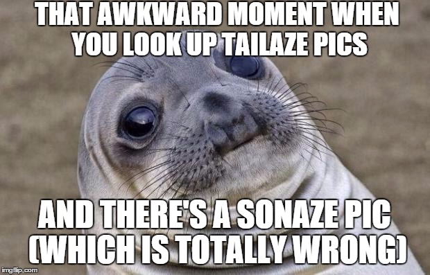 Awkward Moments: Lookin' Up Pics | THAT AWKWARD MOMENT WHEN YOU LOOK UP TAILAZE PICS AND THERE'S A SONAZE PIC (WHICH IS TOTALLY WRONG) | image tagged in memes,awkward moment sealion | made w/ Imgflip meme maker