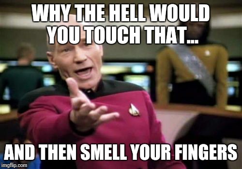 Picard Wtf Meme | WHY THE HELL WOULD YOU TOUCH THAT... AND THEN SMELL YOUR FINGERS | image tagged in memes,picard wtf | made w/ Imgflip meme maker