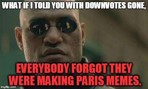 Matrix Morpheus | WHAT IF I TOLD YOU WITH DOWNVOTES GONE, EVERYBODY FORGOT THEY WERE MAKING PARIS MEMES. | image tagged in memes,matrix morpheus | made w/ Imgflip meme maker