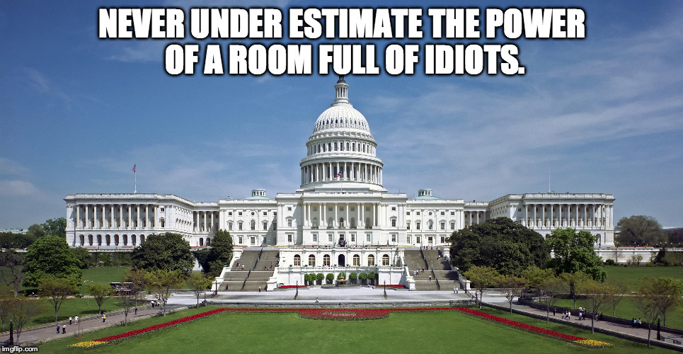 US Capitol | NEVER UNDER ESTIMATE THE POWER OF A ROOM FULL OF IDIOTS. | image tagged in capitol hill,congress,idiots | made w/ Imgflip meme maker