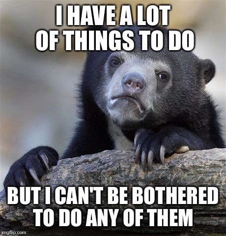 Confession Bear | I HAVE A LOT OF THINGS TO DO BUT I CAN'T BE BOTHERED TO DO ANY OF THEM | image tagged in memes,confession bear | made w/ Imgflip meme maker