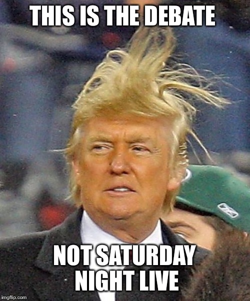 Donald Trumph hair | THIS IS THE DEBATE NOT SATURDAY NIGHT LIVE | image tagged in donald trumph hair | made w/ Imgflip meme maker