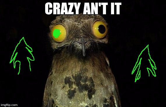 Weird Stuff I Do Potoo | CRAZY AN'T IT | image tagged in memes,weird stuff i do potoo | made w/ Imgflip meme maker