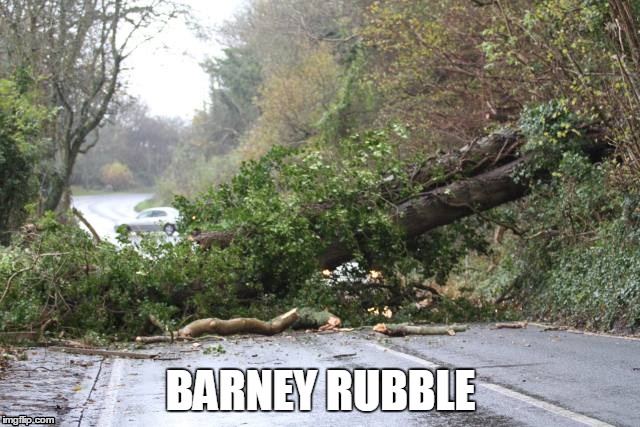 Storm Barney | BARNEY RUBBLE | image tagged in storm barney,ireland | made w/ Imgflip meme maker