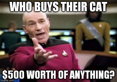 Picard Wtf Meme | WHO BUYS THEIR CAT $500 WORTH OF ANYTHING? | image tagged in memes,picard wtf | made w/ Imgflip meme maker