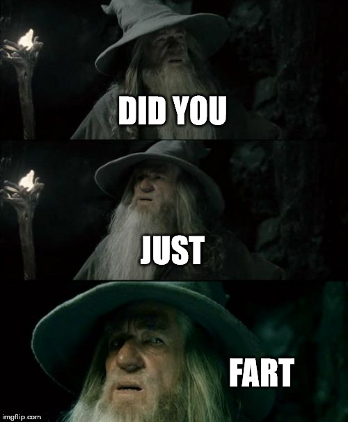 Confused Gandalf | DID YOU JUST FART | image tagged in memes,confused gandalf | made w/ Imgflip meme maker