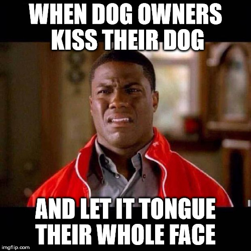 WTF black guy | WHEN DOG OWNERS KISS THEIR DOG AND LET IT TONGUE THEIR WHOLE FACE | image tagged in wtf black guy | made w/ Imgflip meme maker