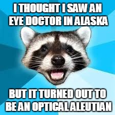 raccoon | I THOUGHT I SAW AN EYE DOCTOR IN ALASKA BUT IT TURNED OUT TO BE AN OPTICAL ALEUTIAN | image tagged in raccoon | made w/ Imgflip meme maker