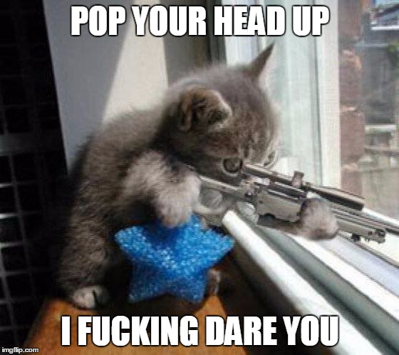 Hunting Rats | POP YOUR HEAD UP I F**KING DARE YOU | image tagged in hunting rats | made w/ Imgflip meme maker