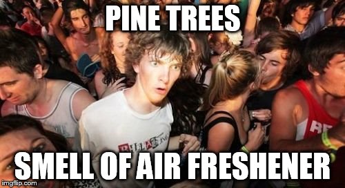 Sudden Clarity Clarence | PINE TREES SMELL OF AIR FRESHENER | image tagged in memes,sudden clarity clarence | made w/ Imgflip meme maker