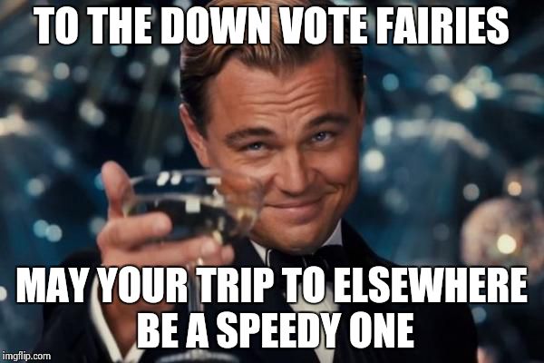 Leonardo Dicaprio Cheers | TO THE DOWN VOTE FAIRIES MAY YOUR TRIP TO ELSEWHERE BE A SPEEDY ONE | image tagged in memes,leonardo dicaprio cheers | made w/ Imgflip meme maker
