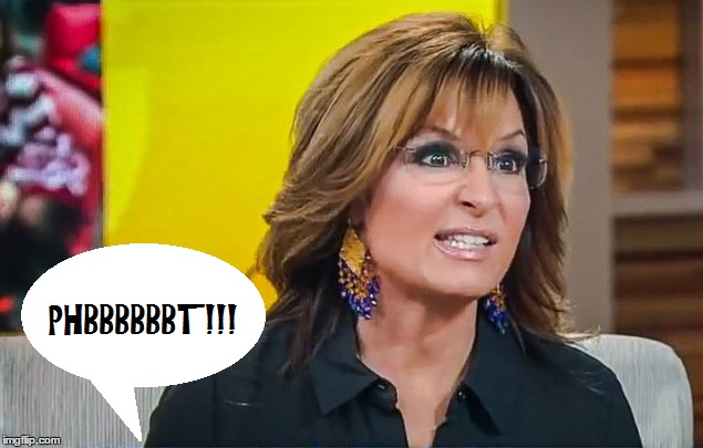 The smartest thing to come out of this woman... | image tagged in toilet humor,sarah palin,stupid | made w/ Imgflip meme maker