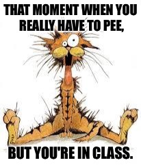 Me Stressed? â€¦ Naaaaaaaa | THAT MOMENT WHEN YOU REALLY HAVE TO PEE, BUT YOU'RE IN CLASS. | image tagged in me stressed  naaaaaaaa | made w/ Imgflip meme maker