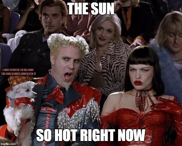 Gotta love memes that could potentially be reposts and possibly damage your reputation on imgflip. | THE SUN SO HOT RIGHT NOW I JUST WANTED TO SEE HOW THE DOG WOULD LOOK WITH IT | image tagged in memes,mugatu so hot right now,scumbag | made w/ Imgflip meme maker