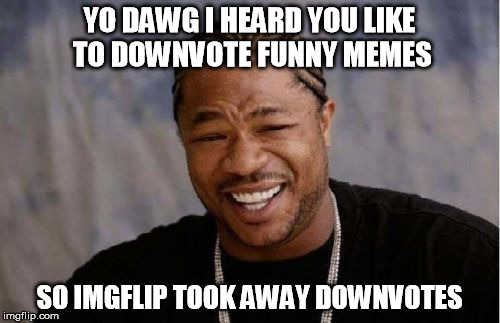 Yo Dawg Heard You Meme | YO DAWG I HEARD YOU LIKE TO DOWNVOTE FUNNY MEMES SO IMGFLIP TOOK AWAY DOWNVOTES | image tagged in memes,yo dawg heard you | made w/ Imgflip meme maker