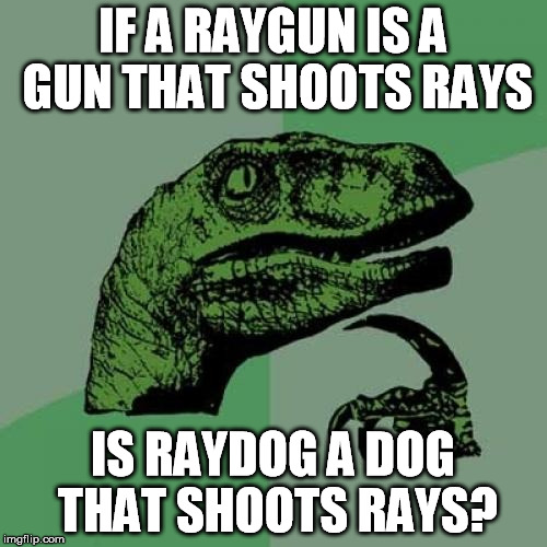 Philosoraptor | IF A RAYGUN IS A GUN THAT SHOOTS RAYS IS RAYDOG A DOG THAT SHOOTS RAYS? | image tagged in memes,philosoraptor | made w/ Imgflip meme maker