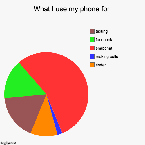 image tagged in funny,pie charts | made w/ Imgflip chart maker