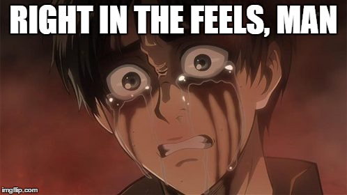 RIGHT IN THE FEELS, MAN | image tagged in feels,attack on titan | made w/ Imgflip meme maker