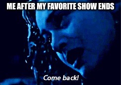 Come back! | ME AFTER MY FAVORITE SHOW ENDS | image tagged in come back | made w/ Imgflip meme maker