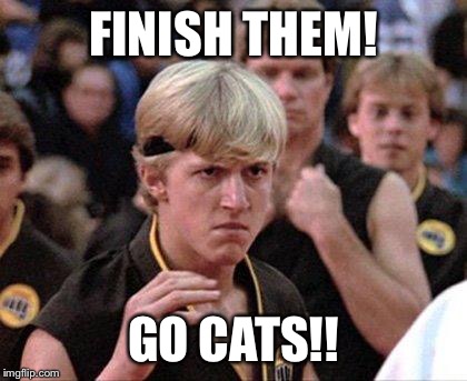 Karate Kid Johnny | FINISH THEM! GO CATS!! | image tagged in karate kid johnny | made w/ Imgflip meme maker