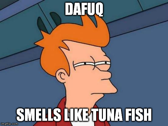 Futurama Fry Meme | DAFUQ SMELLS LIKE TUNA FISH | image tagged in memes,futurama fry | made w/ Imgflip meme maker