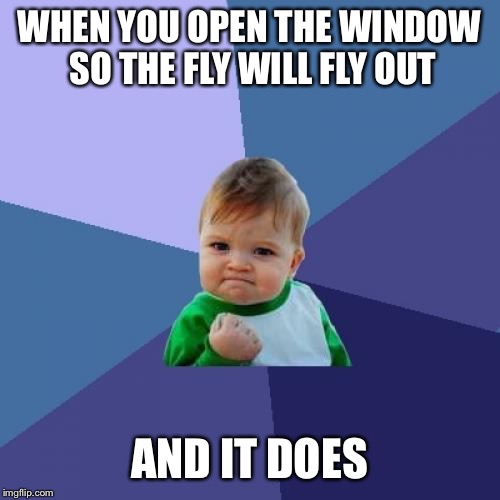 Success Kid Meme | WHEN YOU OPEN THE WINDOW SO THE FLY WILL FLY OUT AND IT DOES | image tagged in memes,success kid | made w/ Imgflip meme maker