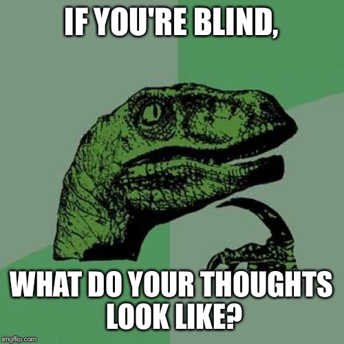 Philosoraptor | IF YOU'RE BLIND, WHAT DO YOUR THOUGHTS LOOK LIKE? | image tagged in memes,philosoraptor | made w/ Imgflip meme maker