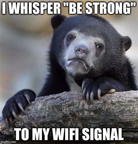 Confession Bear | I WHISPER "BE STRONG" TO MY WIFI SIGNAL | image tagged in memes,confession bear | made w/ Imgflip meme maker