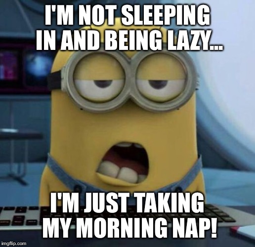 Sleepy Minion | I'M NOT SLEEPING IN AND BEING LAZY... I'M JUST TAKING MY MORNING NAP! | image tagged in sleepy minion | made w/ Imgflip meme maker