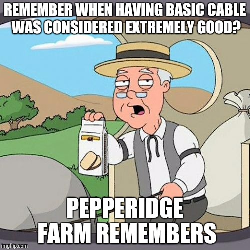 Pepperidge Farm Remembers | REMEMBER WHEN HAVING BASIC CABLE WAS CONSIDERED EXTREMELY GOOD? PEPPERIDGE FARM REMEMBERS | image tagged in memes,pepperidge farm remembers | made w/ Imgflip meme maker