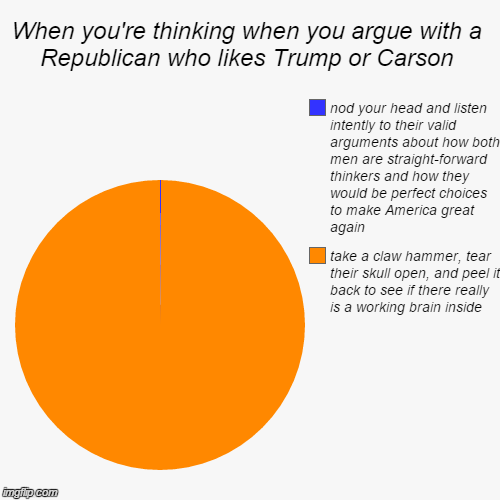 image tagged in funny,pie charts,memes,trump,ben carson,politics | made w/ Imgflip chart maker