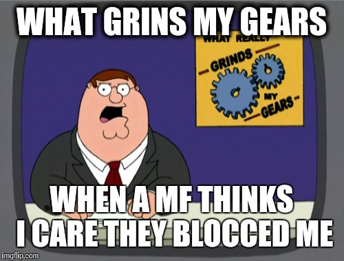Peter Griffin News | WHAT GRINS MY GEARS WHEN A MF THINKS I CARE THEY BLOCCED ME | image tagged in memes,peter griffin news | made w/ Imgflip meme maker
