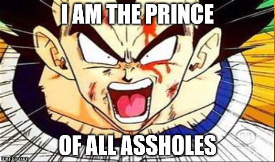 Prince of all Assholes | I AM THE PRINCE OF ALL ASSHOLES | image tagged in vegeta,dragon ball z | made w/ Imgflip meme maker
