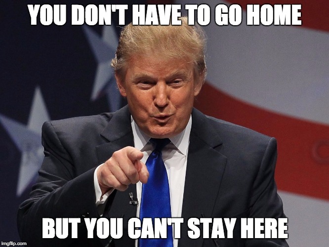 Donald trump | YOU DON'T HAVE TO GO HOME BUT YOU CAN'T STAY HERE | image tagged in donald trump | made w/ Imgflip meme maker