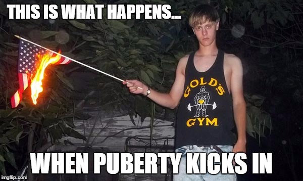 Dumb | THIS IS WHAT HAPPENS... WHEN PUBERTY KICKS IN | image tagged in dumb | made w/ Imgflip meme maker