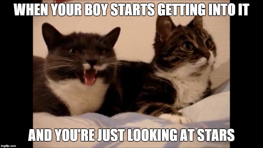WHEN YOUR BOY STARTS GETTING INTO IT AND YOU'RE JUST LOOKING AT STARS | image tagged in cats,your boy,high af | made w/ Imgflip meme maker