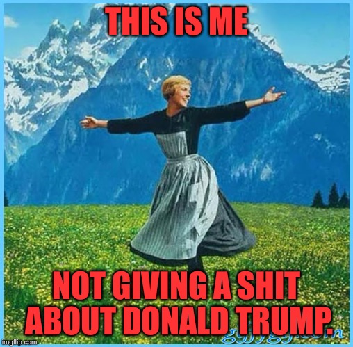 This is me not caring | THIS IS ME NOT GIVING A SHIT ABOUT DONALD TRUMP. | image tagged in this is me not caring | made w/ Imgflip meme maker