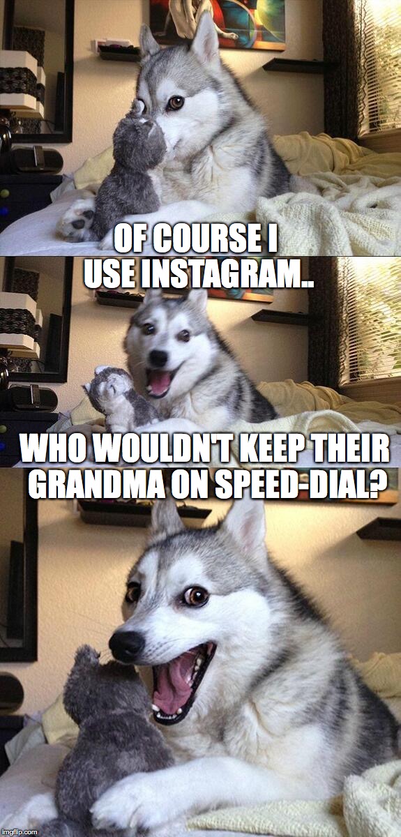 Bad Pun Dog | OF COURSE I USE INSTAGRAM.. WHO WOULDN'T KEEP THEIR GRANDMA ON SPEED-DIAL? | image tagged in memes,bad pun dog | made w/ Imgflip meme maker