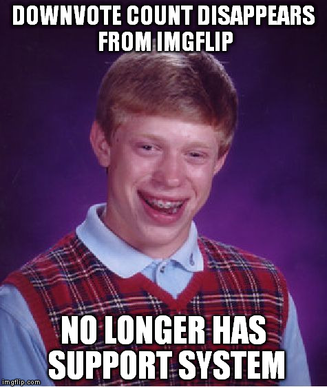 Bad Luck Brian Meme | DOWNVOTE COUNT DISAPPEARS FROM IMGFLIP NO LONGER HAS SUPPORT SYSTEM | image tagged in memes,bad luck brian,downvote,downvotes,support system,imgflip | made w/ Imgflip meme maker