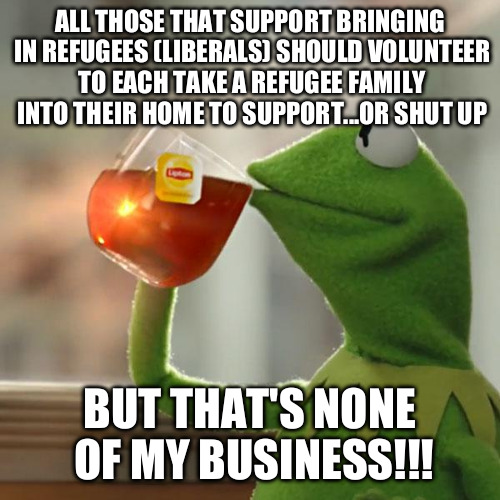 But That's None Of My Business | ALL THOSE THAT SUPPORT BRINGING IN REFUGEES (LIBERALS) SHOULD VOLUNTEER TO EACH TAKE A REFUGEE FAMILY INTO THEIR HOME TO SUPPORT...OR SHUT U | image tagged in memes,but thats none of my business,kermit the frog | made w/ Imgflip meme maker