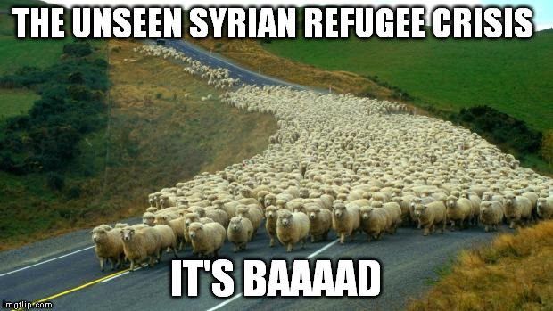 Sheep | THE UNSEEN SYRIAN REFUGEE CRISIS IT'S BAAAAD | image tagged in sheep,memes,syria,isis,crisis,comedy | made w/ Imgflip meme maker