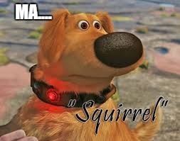 squirrel | MA.... | image tagged in squirrel | made w/ Imgflip meme maker